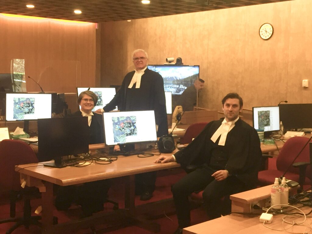 CaseLines is in BC Courts